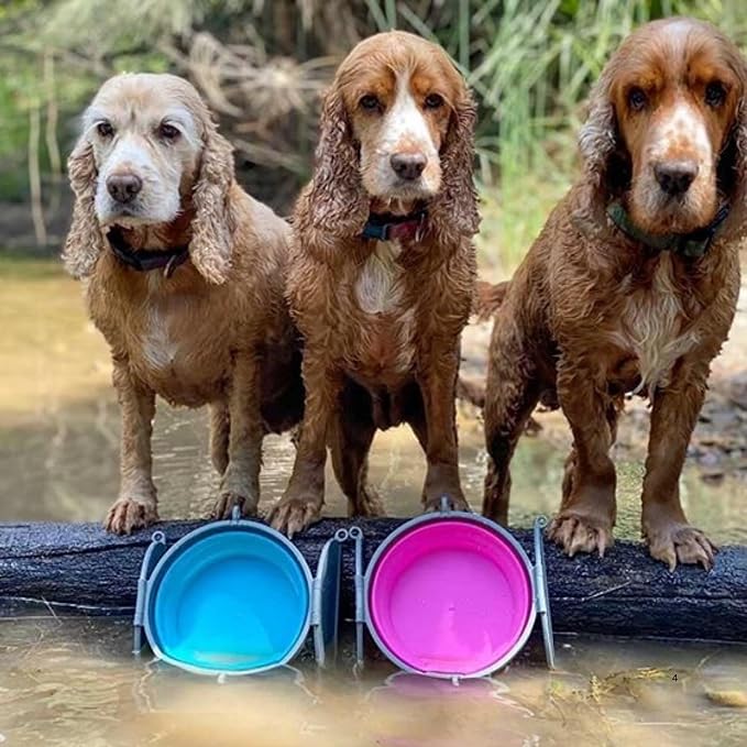 Loving Pets - Bella Roma Portable Travel Dog Bowl Collapsible Dog Food & Water - Image 9