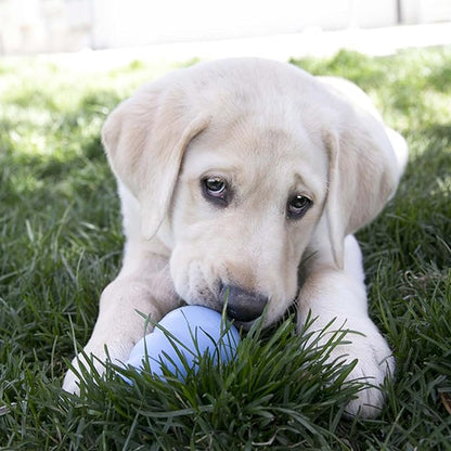 KONG Puppy - Natural Teething Rubber Chew Toy - Image 3