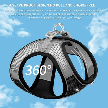 AIITLE Step in Dog Harness and Leash Set - Image 10