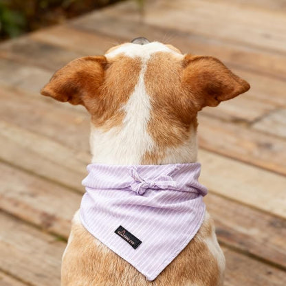 ARING PET Summer Dog Bandana-Cute Lavender Dog Bandanas, Comfortable Pet Scarf - Image 5