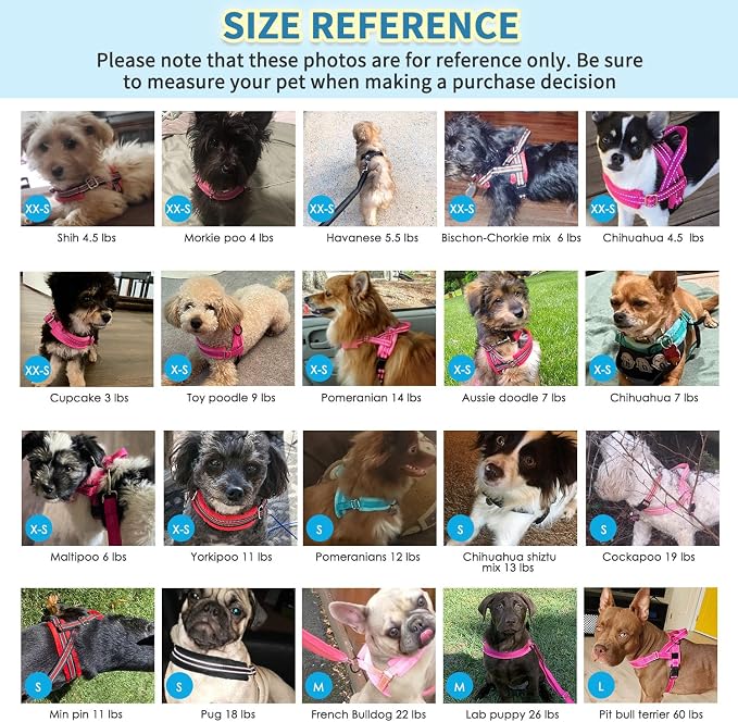 SlowTon No Pull Small Dog Harness and Leash Set, Puppy Soft Vest Harness Neck & - Image 5