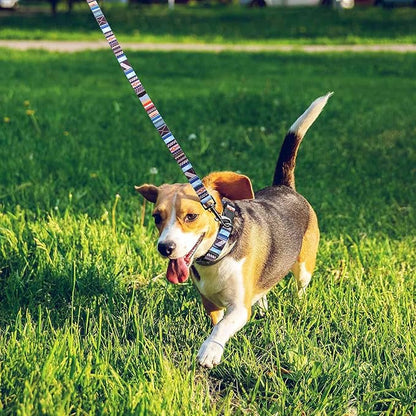 Roses&Poetry Dog Collar with Colourful Stripe Patterns, Adjustable Durable - Image 7
