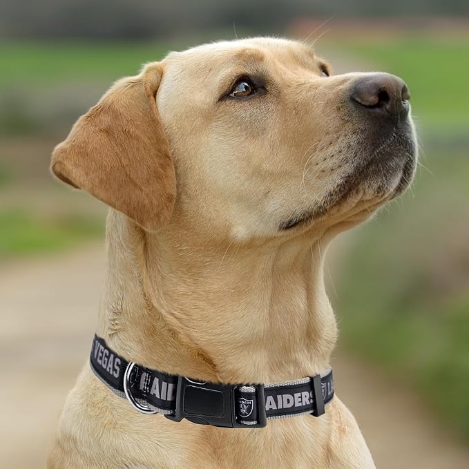 Pets First NFL Raiders Licensed PET COLLAR, Large - Image 5