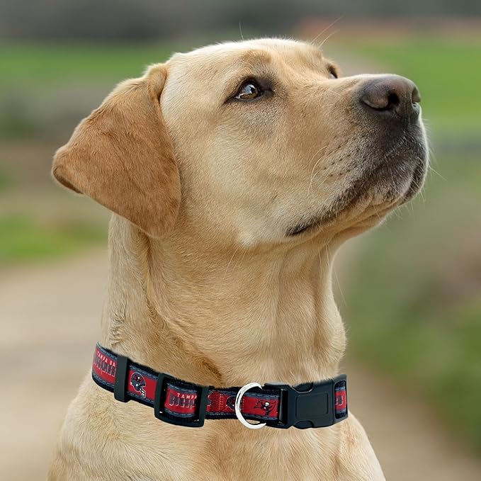 Pets First NFL Tampa Bay Buccaneers Licensed PET COLLAR, Medium - Image 5