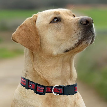 Pets First NFL Tampa Bay Buccaneers Licensed PET COLLAR, Medium - Image 5