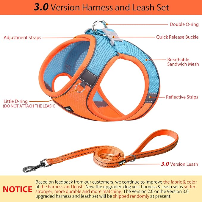 AIITLE Small Harness for Puppy - Image 5