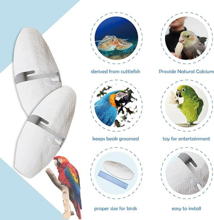 Jmxu's 5"-5.5" Bird Cuttlebone for Parakeets, Cuddle Bone - Image 5