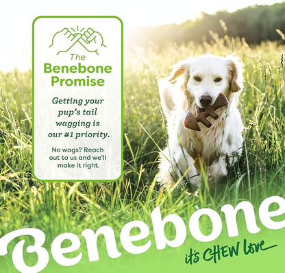 Benebone Tiny 2-Pack Fishbone Durable Dog Chew Toys, Real Fish Flavor, Made in - Image 6