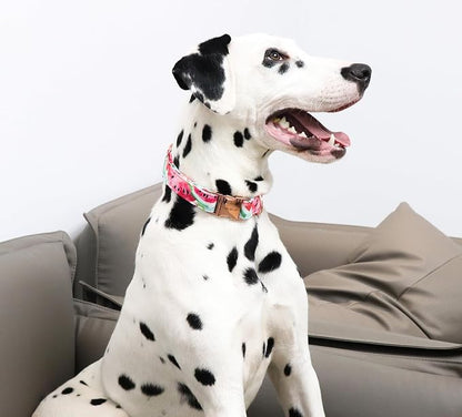 Unique Style Paws Watermelon Collar - Image 5