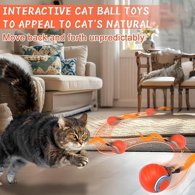 BABORUI 2Pack Interactive Cat Toy Ball - Image 2
