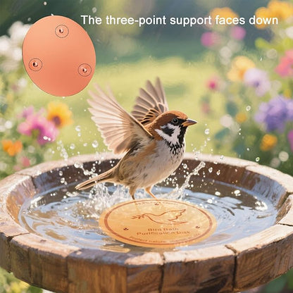 2Pack Bird Bath Copper Purification Disk | 0.6mm Reinforced 99.9% Pure Copper | - Image 4