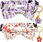 2 Pack Breakaway Cat Collar by Gelwoo
