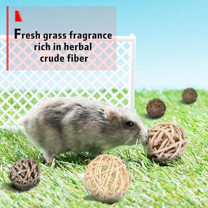 Skylety 15 Pieces Small Animal Chew Balls Rabbits Bunny Treat Chew Toys Guinea - Image 5