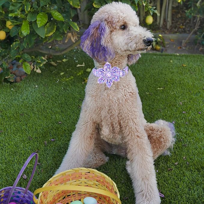 MR. CHUBBYFACE Easter Dog Collar, Adjustable Puppy Collar Bowtie - Image 5