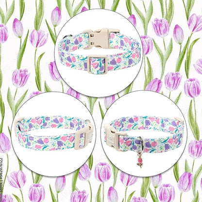 Floral Dog Collar for Small Dogs - Image 7