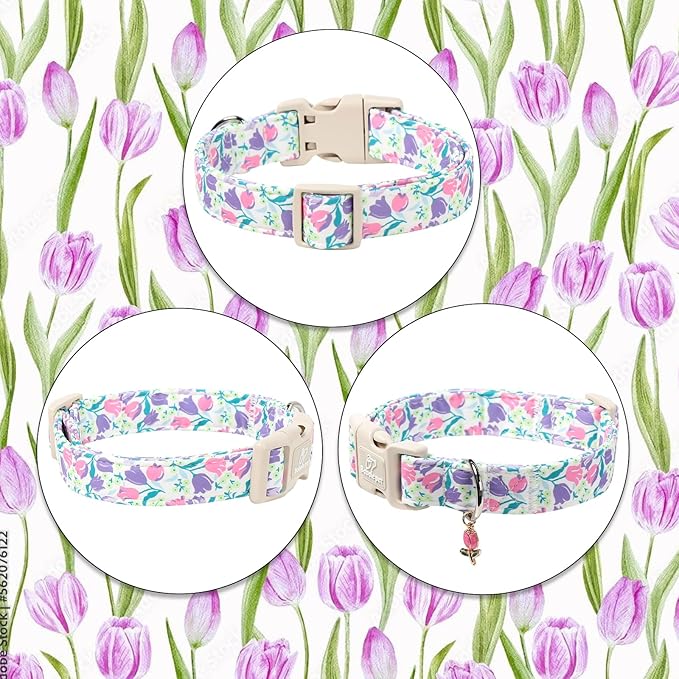 Floral Dog Collar for Large Dogs - Image 6