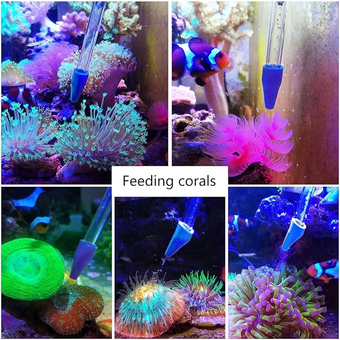 Coral Reef Grabber, Coral Feeder, Aquarium Veggie Feeder, Fish Tank Food Clip - Image 3