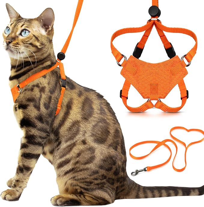 Houdini™ Escape Proof Kitten Harness and Leash Set by OutdoorBengal – Orange by OutdoorBengal