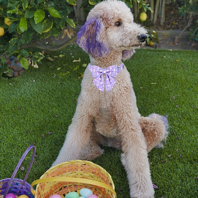 MR. CHUBBYFACE Easter Dog Collar, Adjustable Pet Collar Bowtie - Image 4