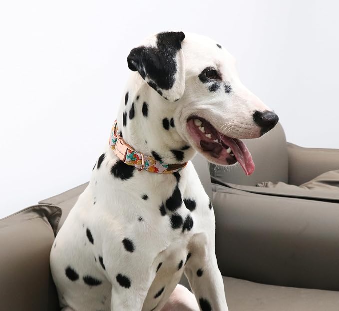 Unique style paws Dog Collar Metal Buckle Gift - Image 4