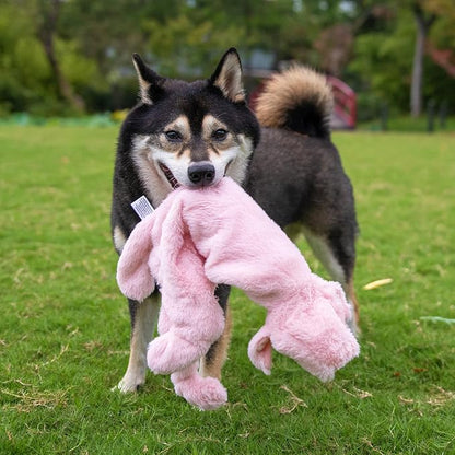 Best Pet Supplies Squeaky Dog Toys - Image 6