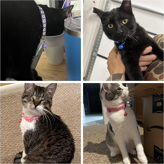 Pink Cat Collars with Bells, Break Away Cat Collar with Bells, Reflective - Image 2