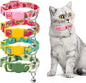 azuza 4 Pack Cat Kitten Collar Breakaway by azuza
