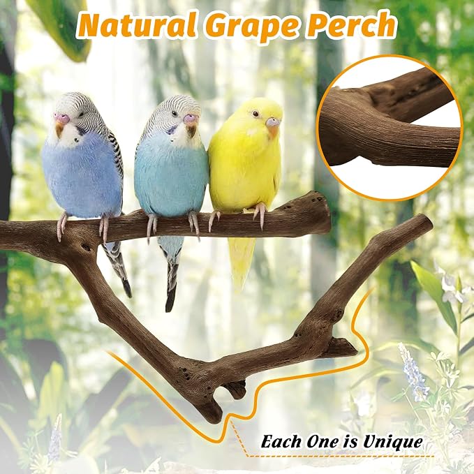 kathson 5pcs Natural Parrot Perch - Image 3