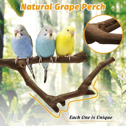 kathson 3pcs Natural Parrot Perch - Image 3
