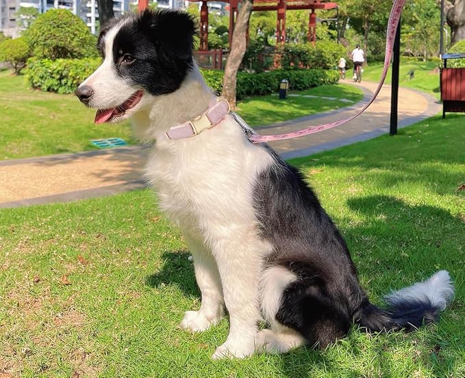 Soft Cotton Hemp Dog Collar - Image 6