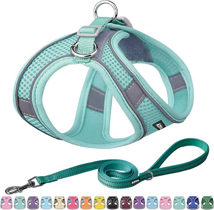 AIITLE Small Harness for Puppy by AIITLE-FORPETSBETTERLIFE