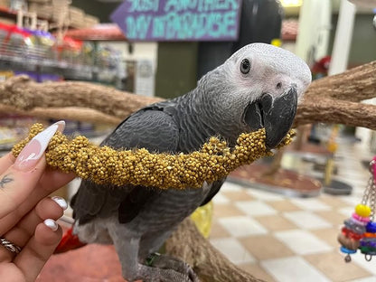 Birds LOVE Economy Special Spray Millet GMO-Free - Image 6