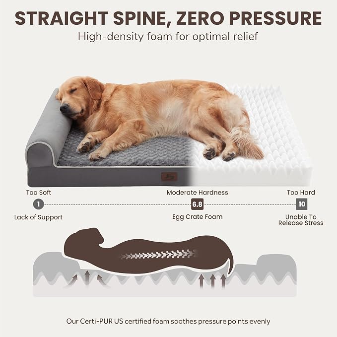 Large Dog Beds Large Sized Dogs 48x35x8 Inch, Orthopedic XXL XL Dog Bed - Image 2
