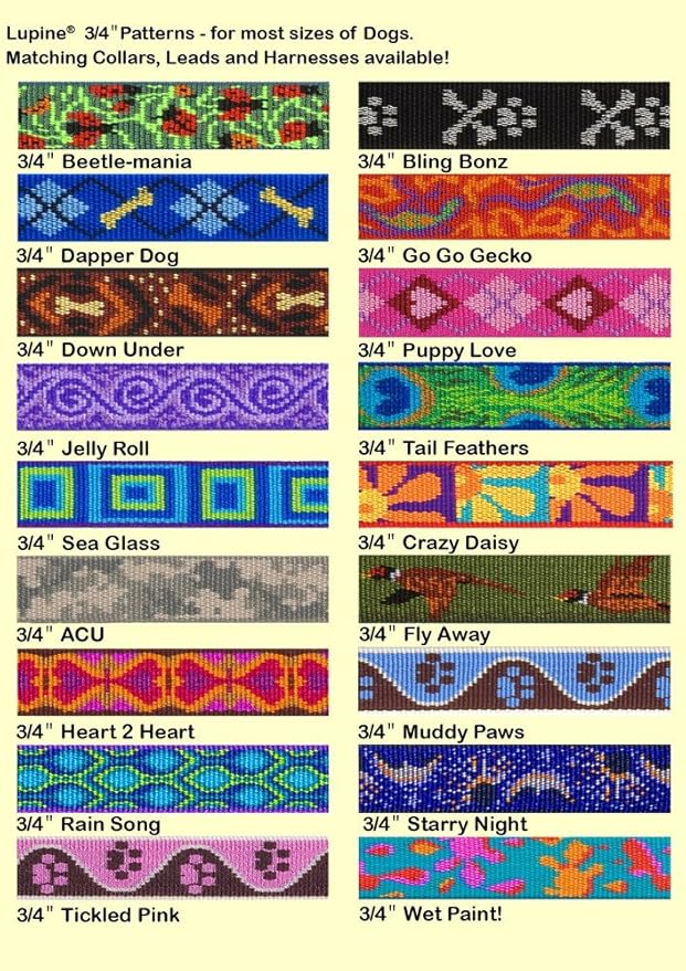 LupinePet Originals 3/4" Sea Glass 15-25" Adjustable Collar - Image 2