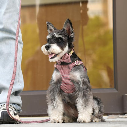 Beirui Cute Small Dog Harness Collar and Leash Set - Image 4