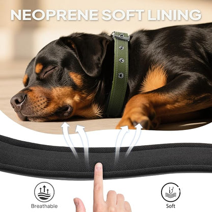 PetiFine Dog Collars for Small Dogs, Neoprene Padded Dog Collar, Reflective - Image 4