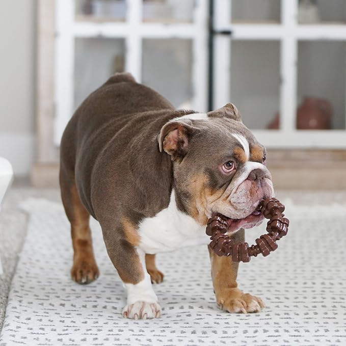Nylabone Textured Ring Power Chew Toy - Image 6