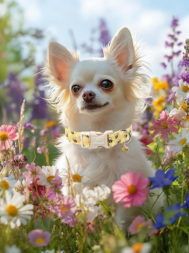 Bee & Daisy Dog Collar for Giant Large Dogs - Image 6