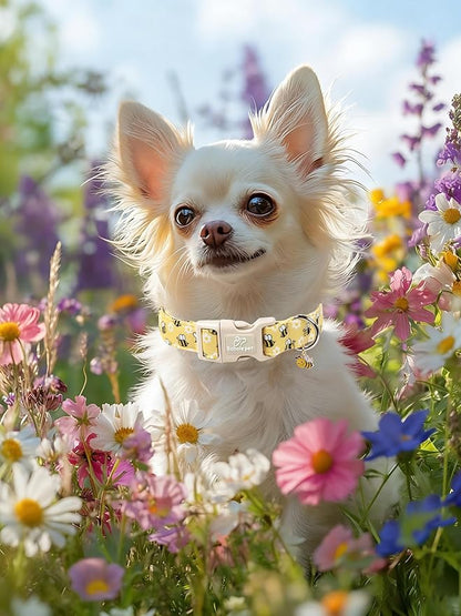 Bee & Daisy Dog Collar for Large Dogs - Image 6