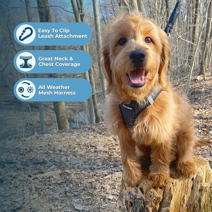 Best Pet Supplies Voyager Step-in Air All Weather Mesh Harness and Reflective - Image 5