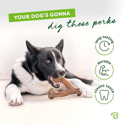 Large 3-Pack, Benebone Wishbone Durable Dog Chew Toy - Image 3
