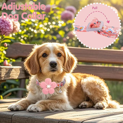 Small Dog Collar with Flower, Puppy Collar - Image 5