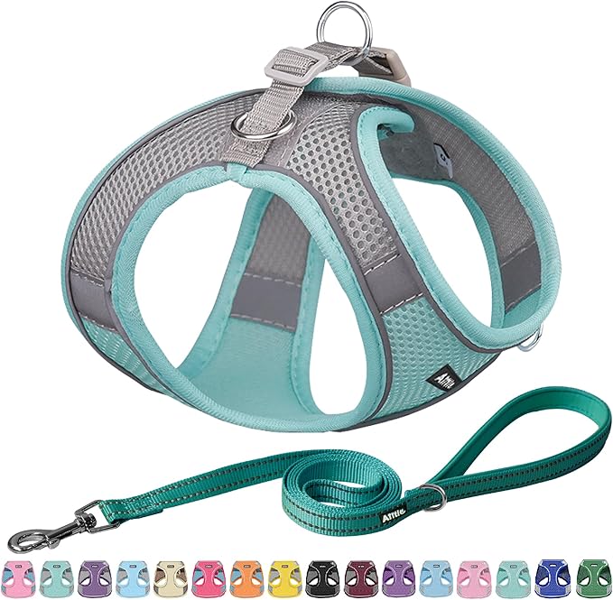 AIITLE Escape Proof Dog Harness by AIITLE-FORPETSBETTERLIFE