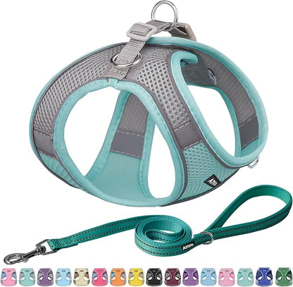 AIITLE Step in Dog Harness and Leash Set by AIITLE-FORPETSBETTERLIFE
