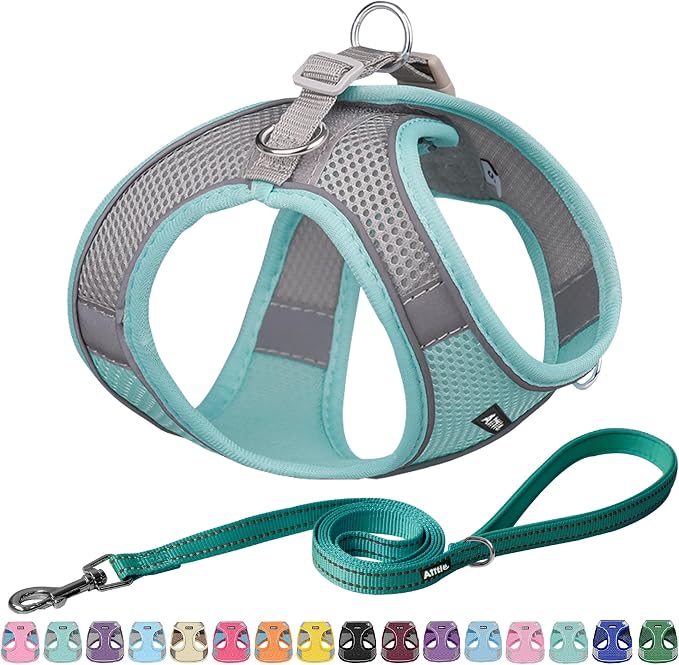 AIITLE Easy Walk Dog Harness and Leash Set by AIITLE-FORPETSBETTERLIFE