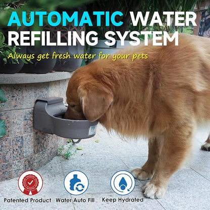 Automatic Dog Water Dispenser - Image 2
