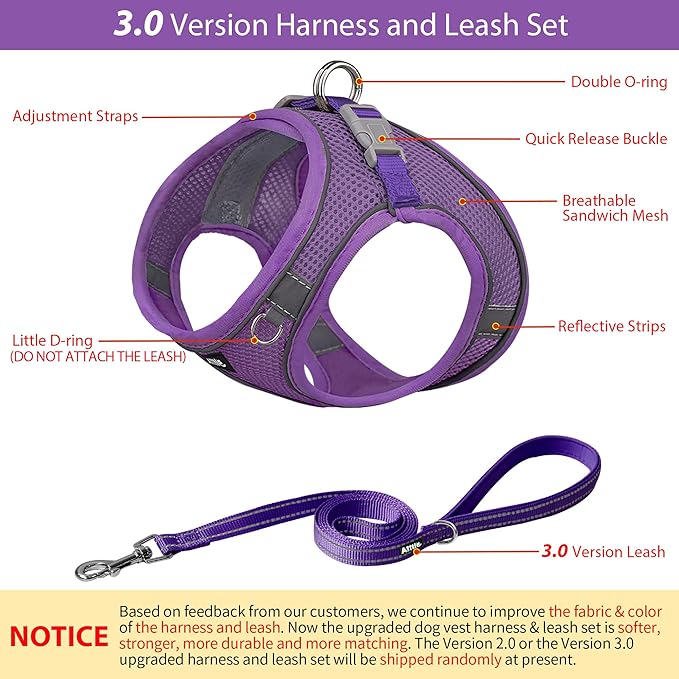 AIITLE No Pull Dog Harness and Leash Set, Step in Adjustable Dog Harness - Image 2