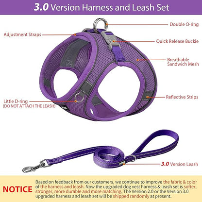 AIITLE No Pull Dog Harness and Leash Set, Step in Adjustable Dog Harness - Image 2