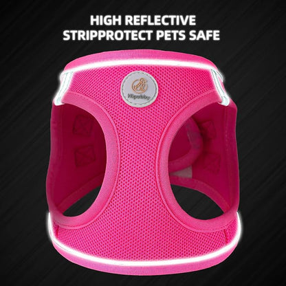 Hipubby Dog Harness and Leash Set, No Pull Soft Mesh Puppy Harness - Image 5