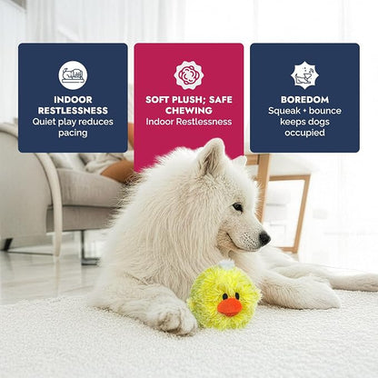 Pet Lou DOG'Z 4 Inch EZ Squeaky Chick Dog Plush Toy, Stuffing-Free Soft Plush - Image 5